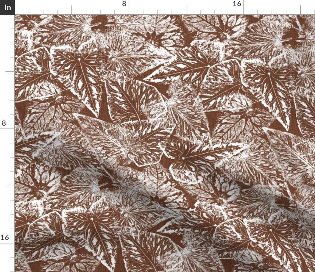 Buckwheat Leaf Prints in White on Cinnamon Brown