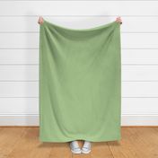 Light Green, Solid, Lime, Grass, Apple, solid green, green fabric, #solid #green #pastel #fabric, JG Anchor Designs