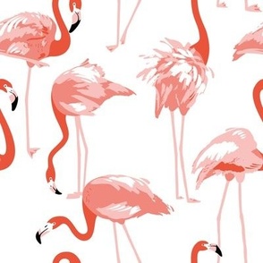 Red flamingo