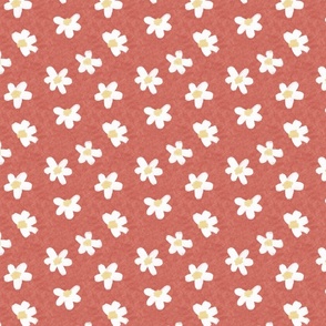 Medium - Just daisies - terracotta