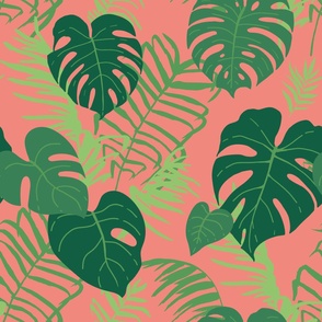 Leaves of tropical plants