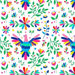 Mexican otomi embrodery  collection