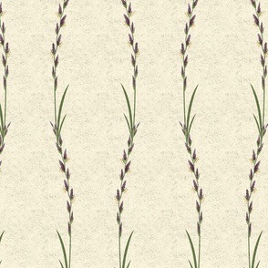 Wild Grasses Stripe-Cream-M