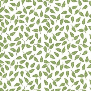 Scattered green botanical leaves 4 inch