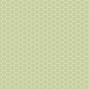 green geometric honeycomb smalljpg