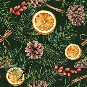 Winter pattern with orange slices, pine cones, berries, fir branches and cinnamon