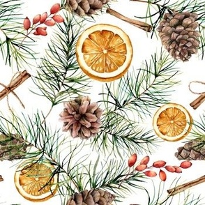 Orange slices, pine cones, berries, fir branches and cinnamon on white background