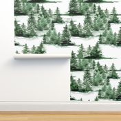 Green fir winter coniferous forest