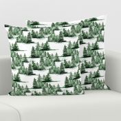 Green fir winter coniferous forest