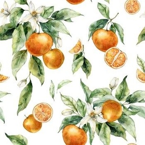 Watercolor orange fruits with leaves and flowers