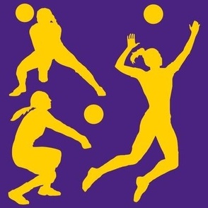 Volleyball Player, High School Volleyball, College Volleyball, Girls Volleyball,  Womens Volleyball, Volleyball Theme, School Spirit, Purple & Gold, Purple & Yellow