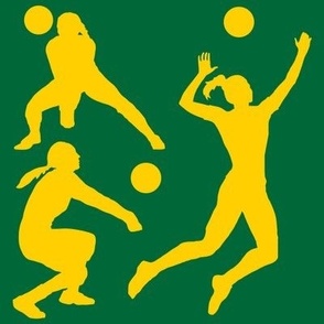 Volleyball Player, High School Volleyball, College Volleyball, Girls Volleyball,  Womens Volleyball, Volleyball Theme, School Spirit, Green & Gold, Green & Yellow
