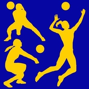 Volleyball Player, High School Volleyball, College Volleyball, Girls Volleyball,  Womens Volleyball, Volleyball Theme, School Spirit, Royal Blue & Gold, Blue & Yellow