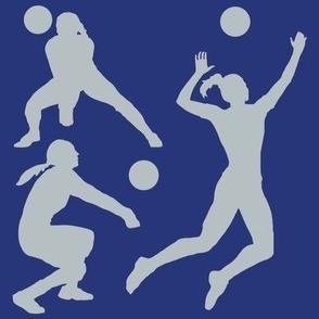 Volleyball Player, High School Volleyball, College Volleyball, Girls Volleyball,  Womens Volleyball, Volleyball Theme, School Spirit, Blue & Gray, Blue & Silver