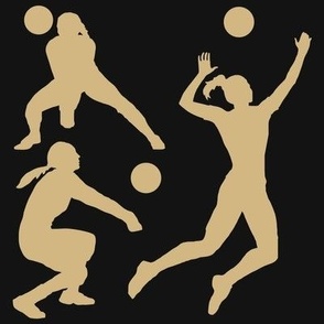 Volleyball Player, High School Volleyball, College Volleyball, Girls Volleyball,  Womens Volleyball, Volleyball Theme, School Spirit, Old Gold & Black, Black & Gold