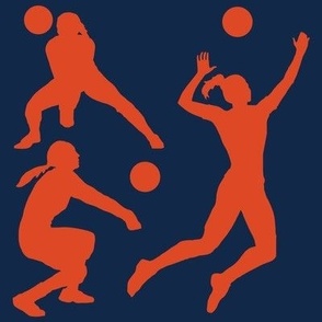 Volleyball Player, High School Volleyball, College Volleyball, Girls Volleyball,  Womens Volleyball, Volleyball Theme, School Spirit, Blue & Orange