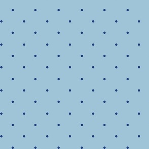 Light and Dark Blue Tiny dots Pattern