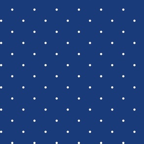 Winter Blue White Tiny dots Pattern
