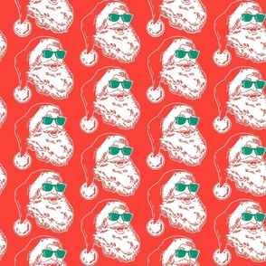 Cool Santa Claus in Sunglasses