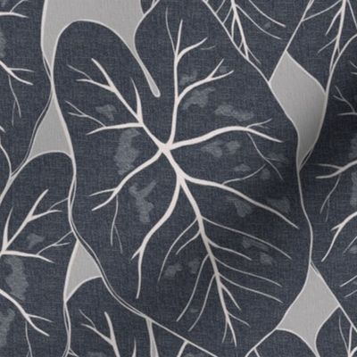 Caladium Tropical Leaves - Black, Grey, Monochrome 