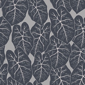 Caladium Tropical Leaves - Black, Grey, Monochrome 