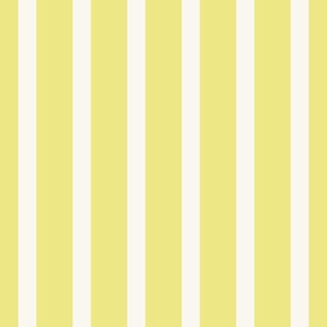 Yellow & Cream Stripes-Flower Garden Collection 