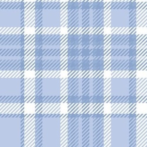 Plaid in White and Blue