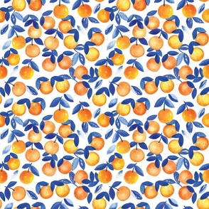 Clementine oranges with blue leaves WB23 medium scale