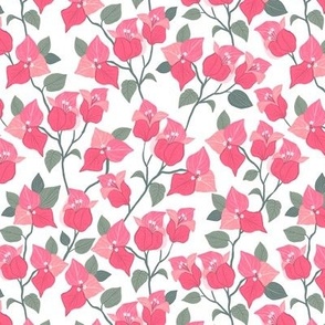 bougainvillea garden - pale pink - bright summer vibes 