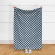 Textured Check - Small Scale - Upward and Indigo Blue - Linen Ikat fabric texture Checkers Checkerboard Beach Boy