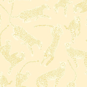 Cheetahs Yellow