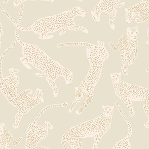 Cheetahs Sage