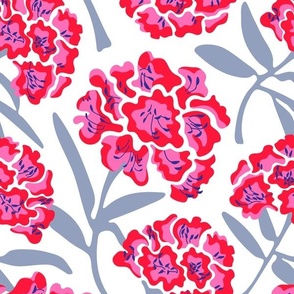 RHODODENDRON Floral Botanical in Fuchsia Red Blue - Special Request: TRUE WHITE Background - MEDIUM Scale - UnBlink Studio by Jackie Tahara