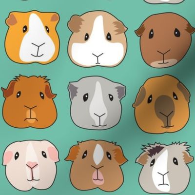 guinea pig faces on teal