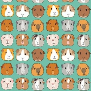 tiny guinea pig faces on teal