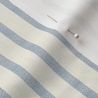 tiny blue ticking stripe