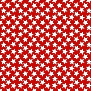 Snow Thyme Stars on red