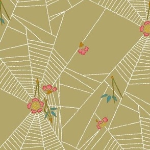 Spider Webs 3a