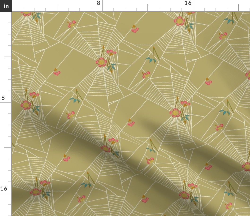Spider Webs 3a