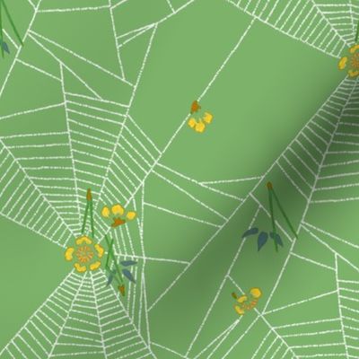 Spider Webs 3b