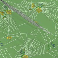 Spider Webs 3b