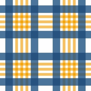 Snow Thyme Winter Plaid blue and yellow