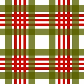 Snow Thyme Winter Plaid red and green