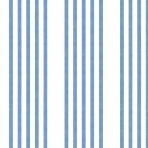 Snow Thyme Stripes blue on white