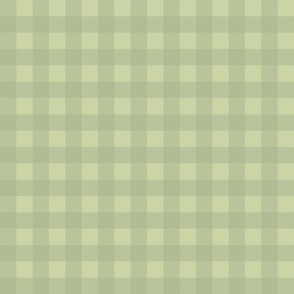 1 in Gingham check - shades of sage green