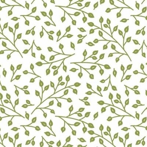 Snow Thyme Winter Floral Green