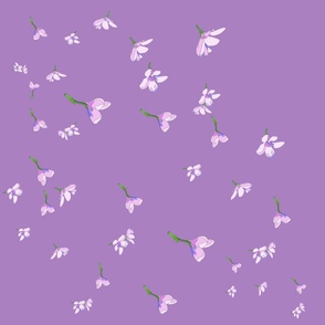 Plumeria Showers on Lavender