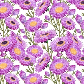 Purple Paper Daisies