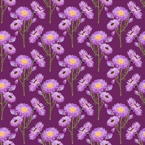 Purple Paper Daisies Cottage Blooms