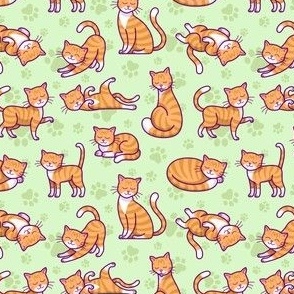 Orange Tabby Cat on Light Green